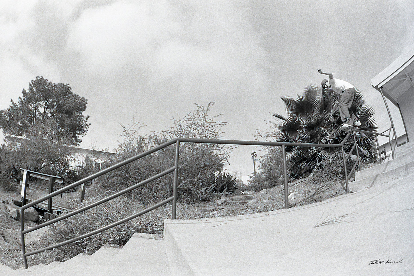 CHAD MUSKA HIGH VOLTAGE IN HUMAN FORM — A FLASHBANG IN A FLATBRIM