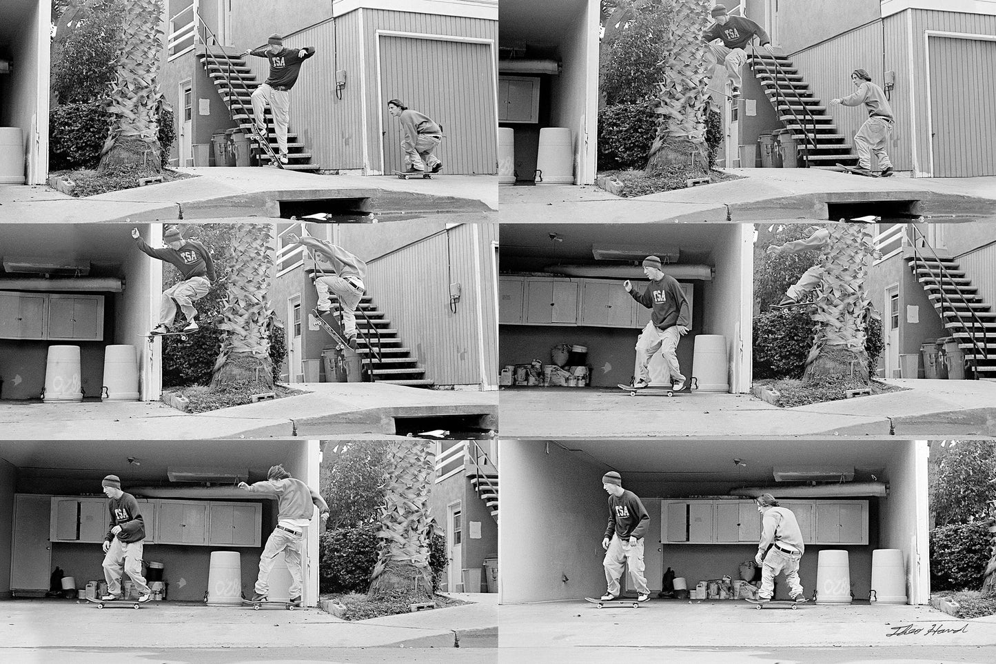 TOM & CHAD PALM-TREE DOUBLE TROUBLE IN COSTA MESA